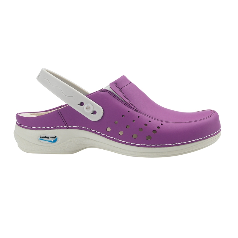 Zuecos sanitarios